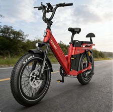 Tesway X5 Pro 48V 60Ah