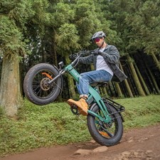 75Nm 20'' Fat Folding Electric