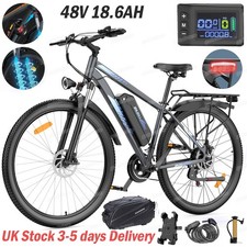 29in Electric Bike 48V 18.6AH