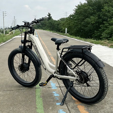 26" Electric Bike Dual Motor