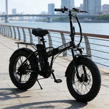 Adults Electric Bike 20x4.0
