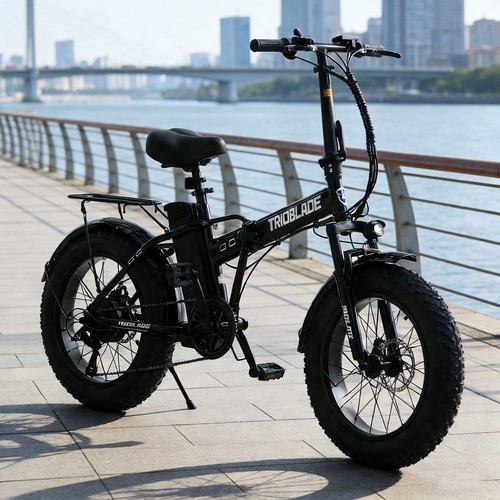 Adults electric bike 20x4 - adults, 20x4.0