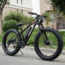 Electric Bike Adult 26X4.0 Fat